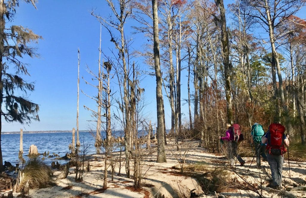 A holiday hike in the Croatan National Forest.