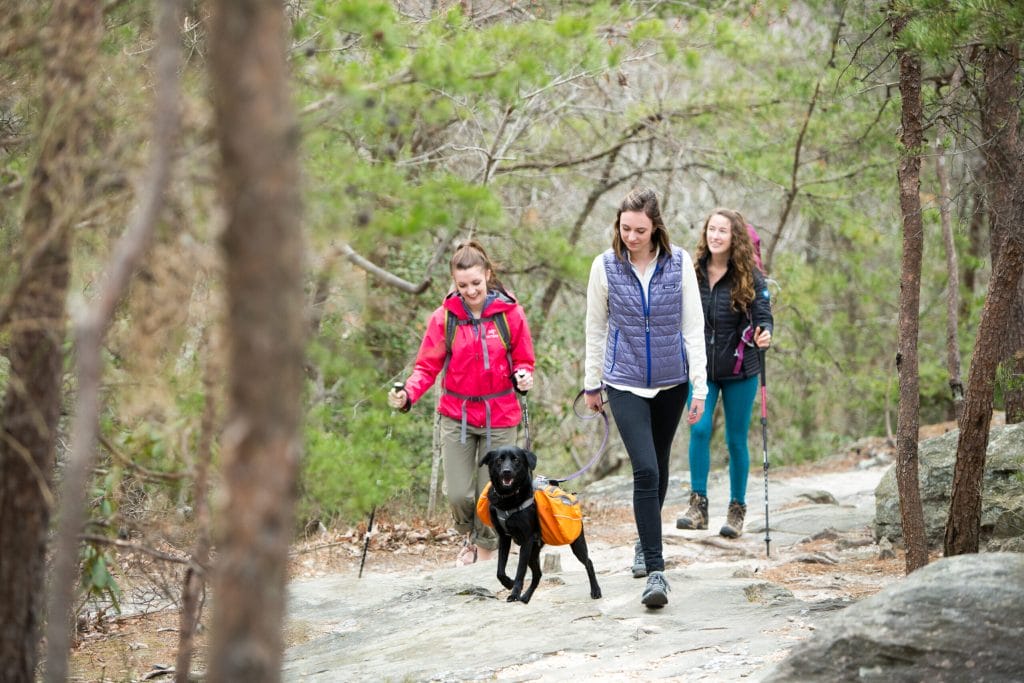 GOPC-16-CampHike-Girls-Hiking-With-Dog