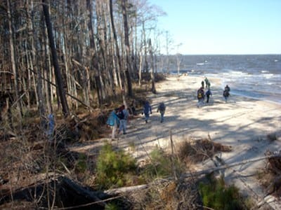 Hiking the shoreline of the Neuse, on the Neusiok Trail