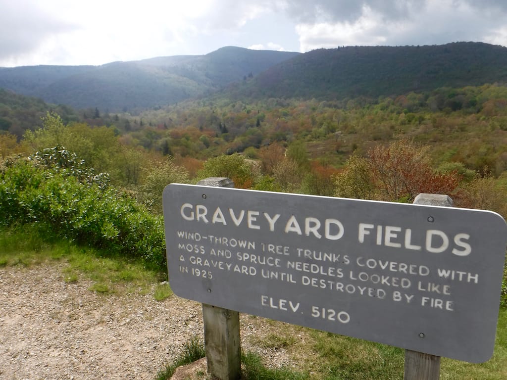 5 Must-Do Summer Mountain Hikes in the Southern Appalachians