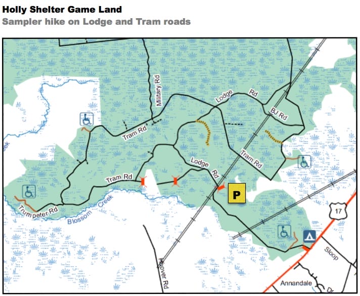 MST.HollyShelter.Map2