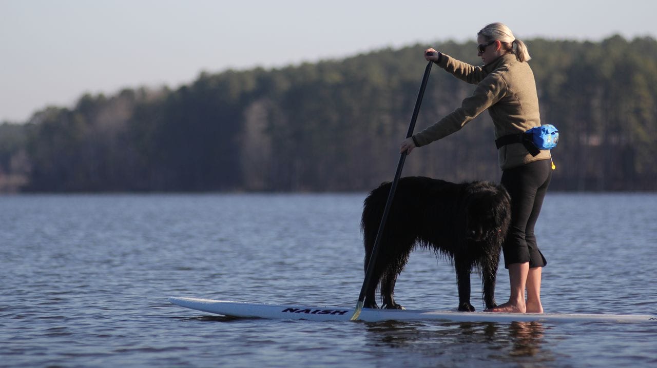 Molly paddling with the late Lady.
