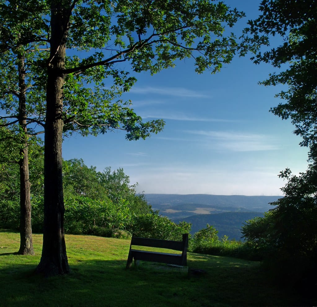 mt pisgah campground best sites