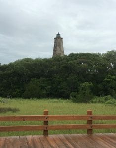 Old Baldy view